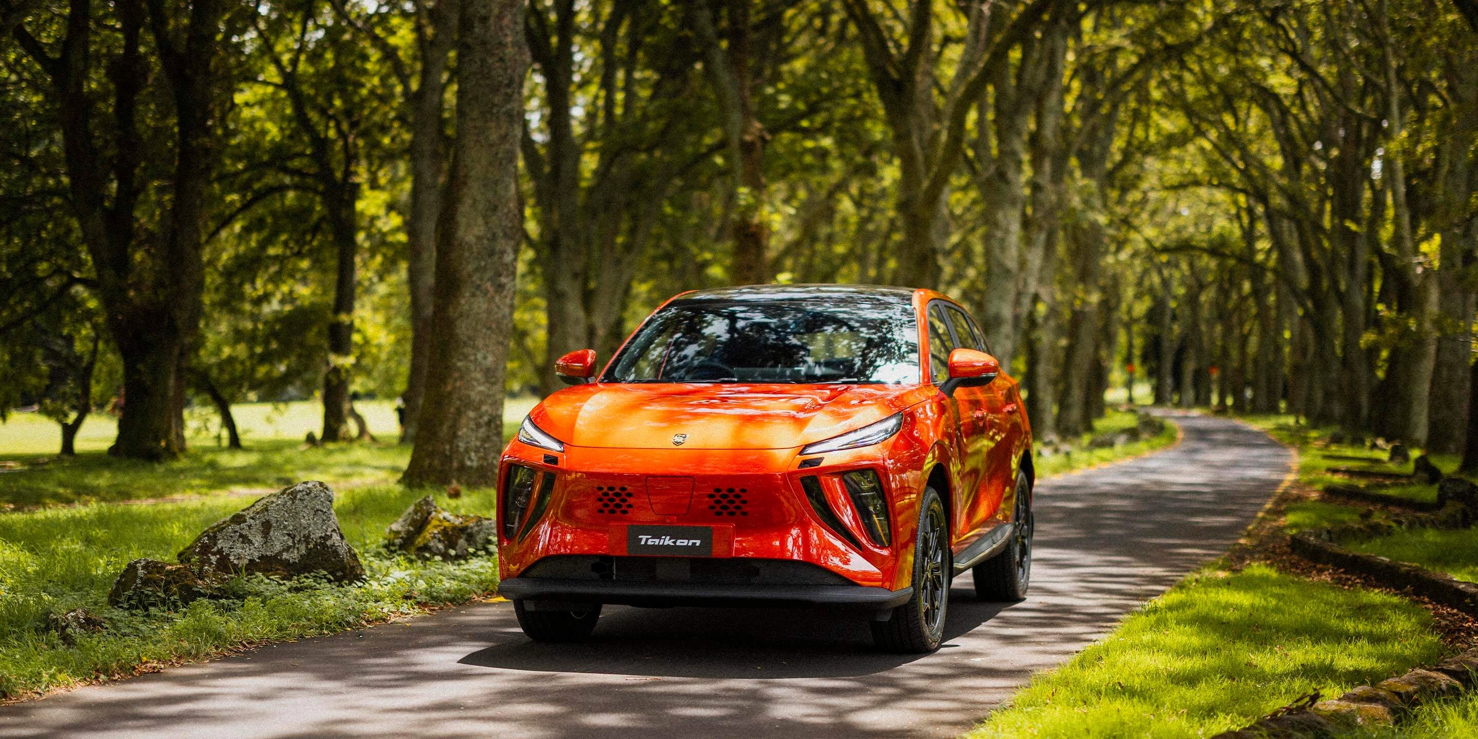 Super Hybrid Taikon Banner 1 (1)